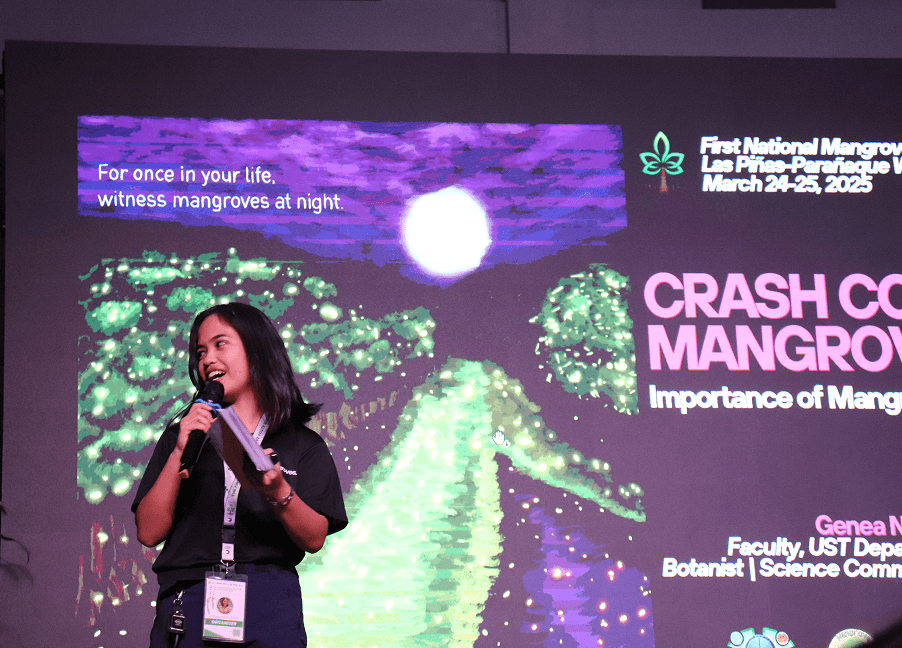 Educational talk on mangrove biodiversity.