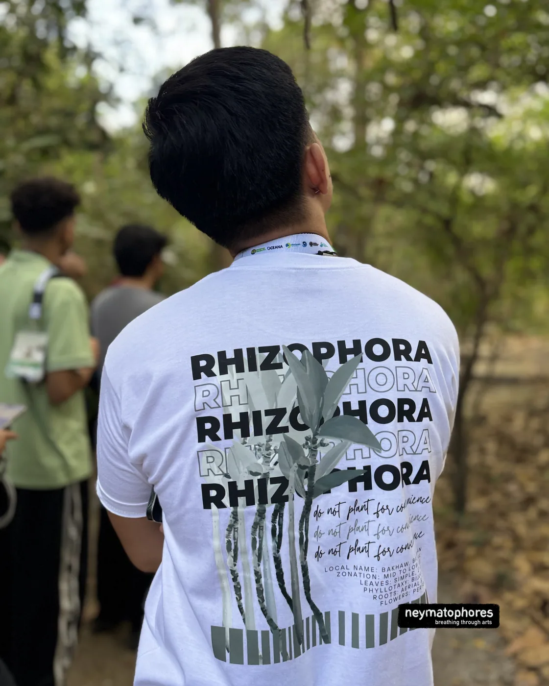 Rhizophora · Blanco