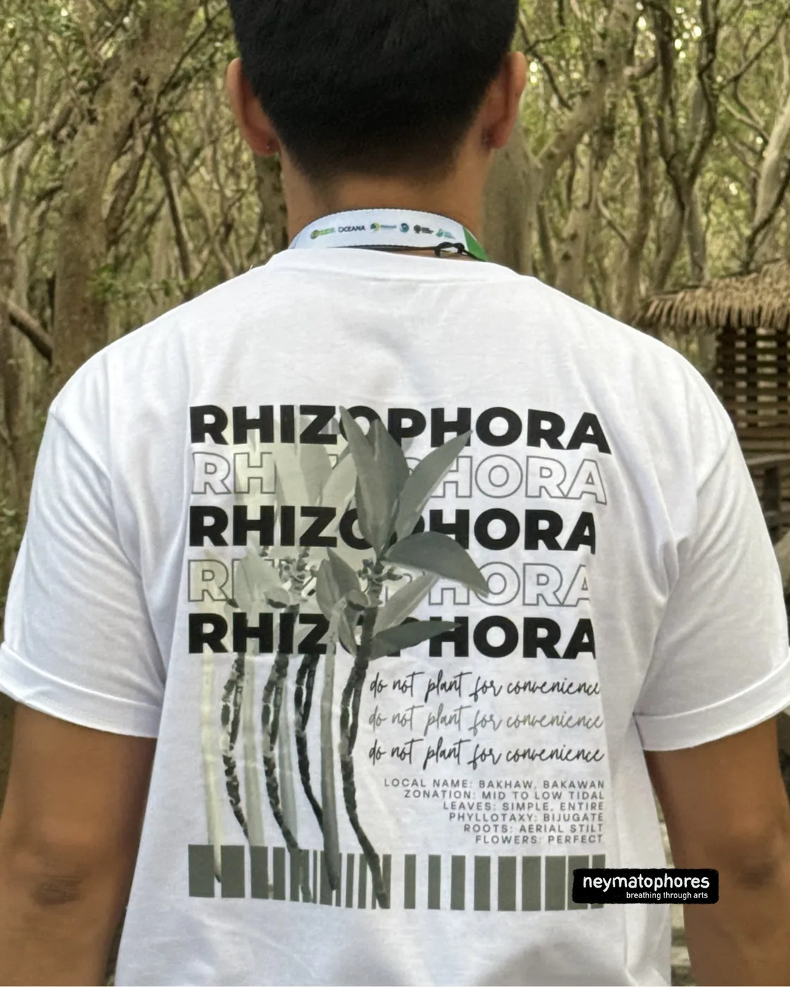 Rhizophora · Blanco preview 4