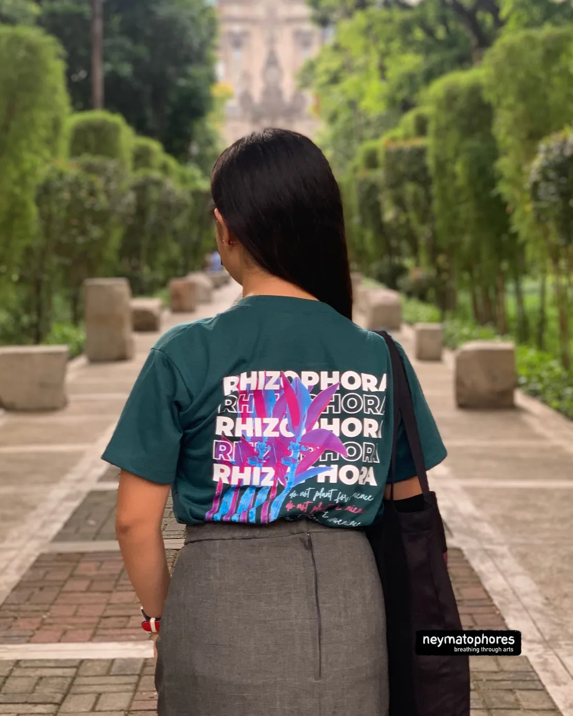 Rhizophora · Pizzara Verde preview 4
