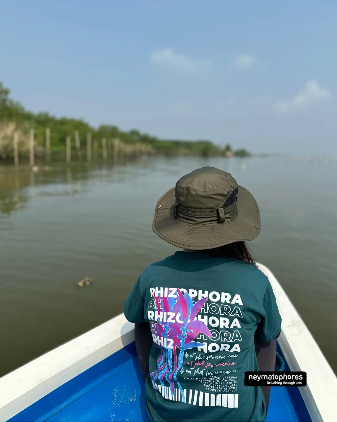 Rhizophora · Pizzara Verde preview 7