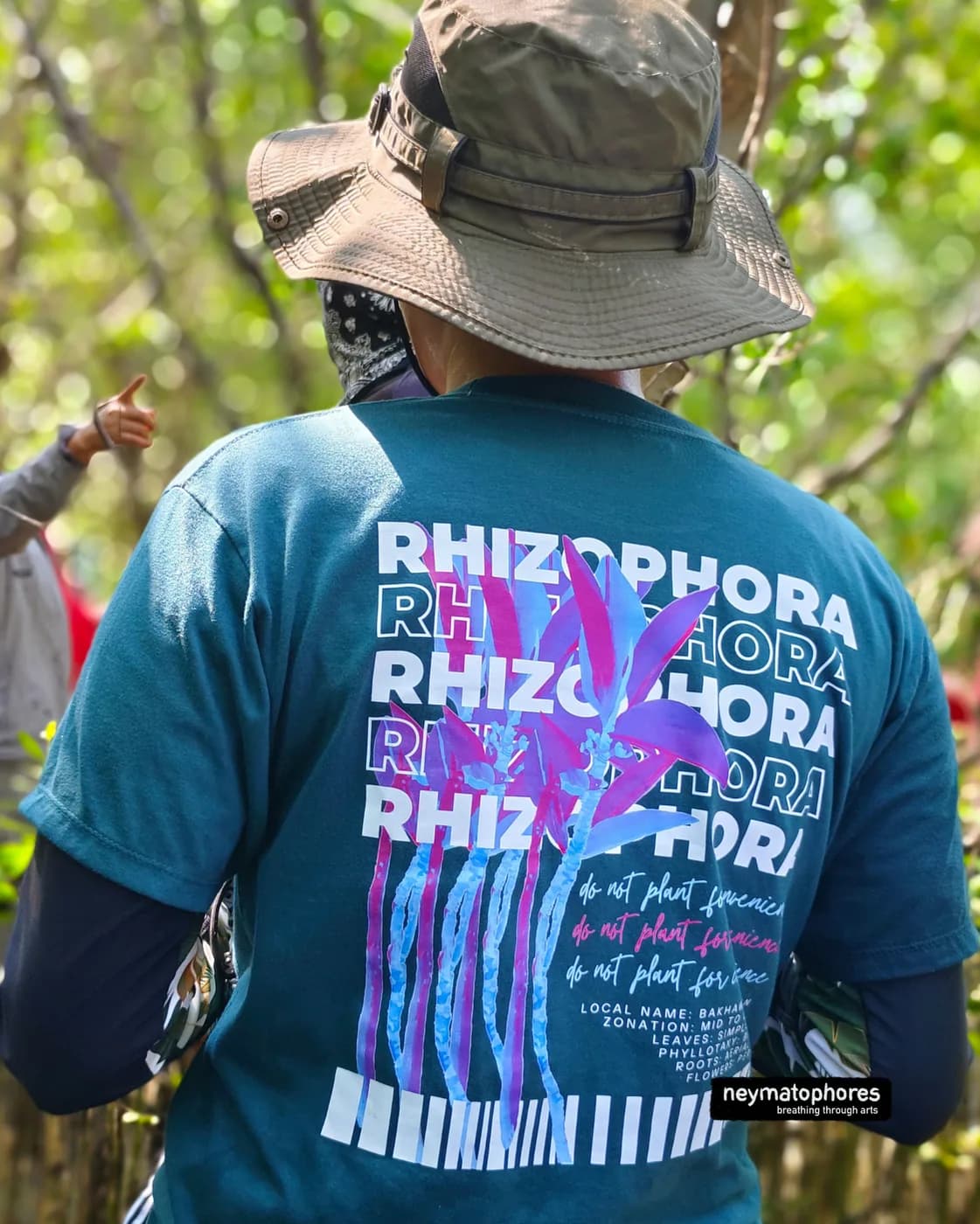 Rhizophora · Pizzara Verde