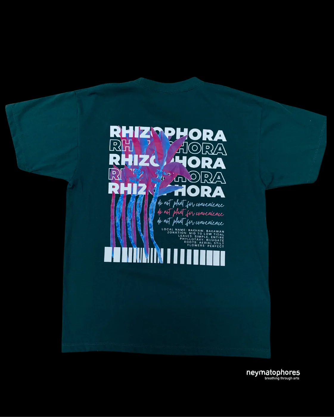 Rhizophora · Pizzara Verde preview 2