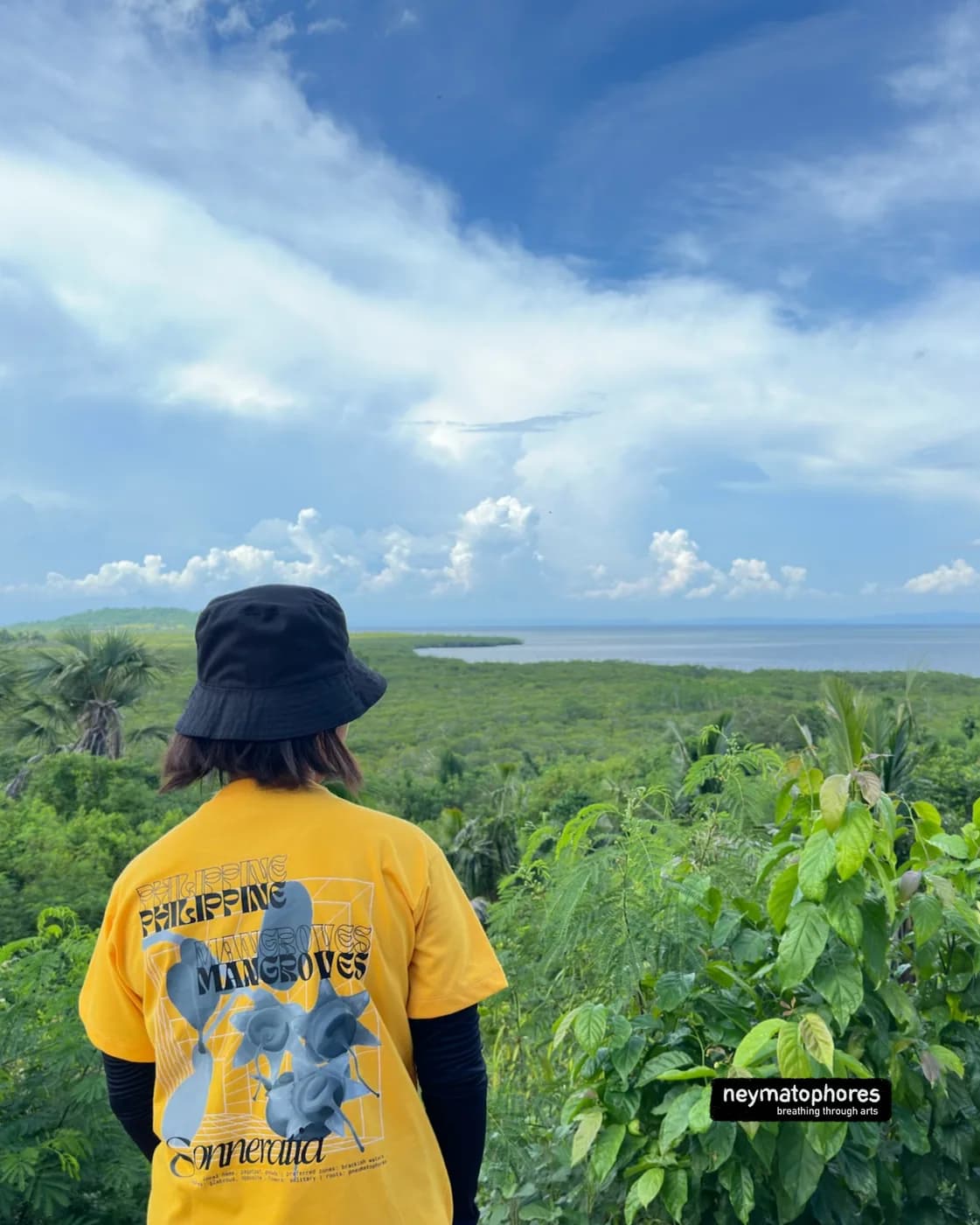 Sonneratia · Amarillo preview 4