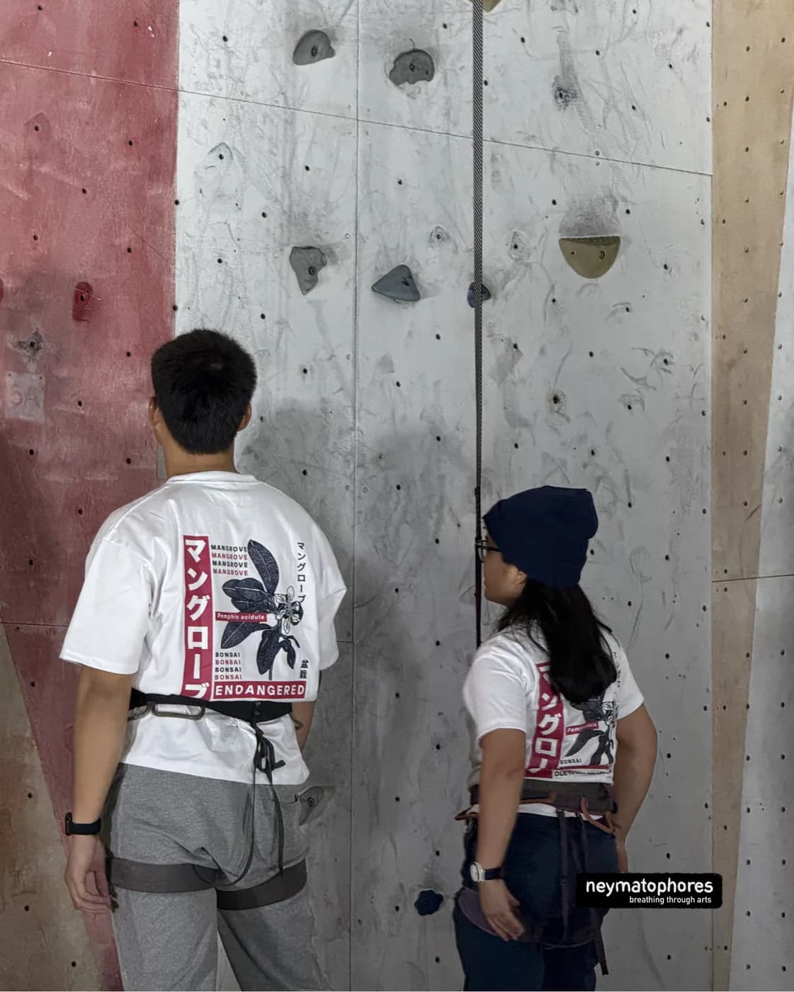 Pemphis · Blanco preview 7