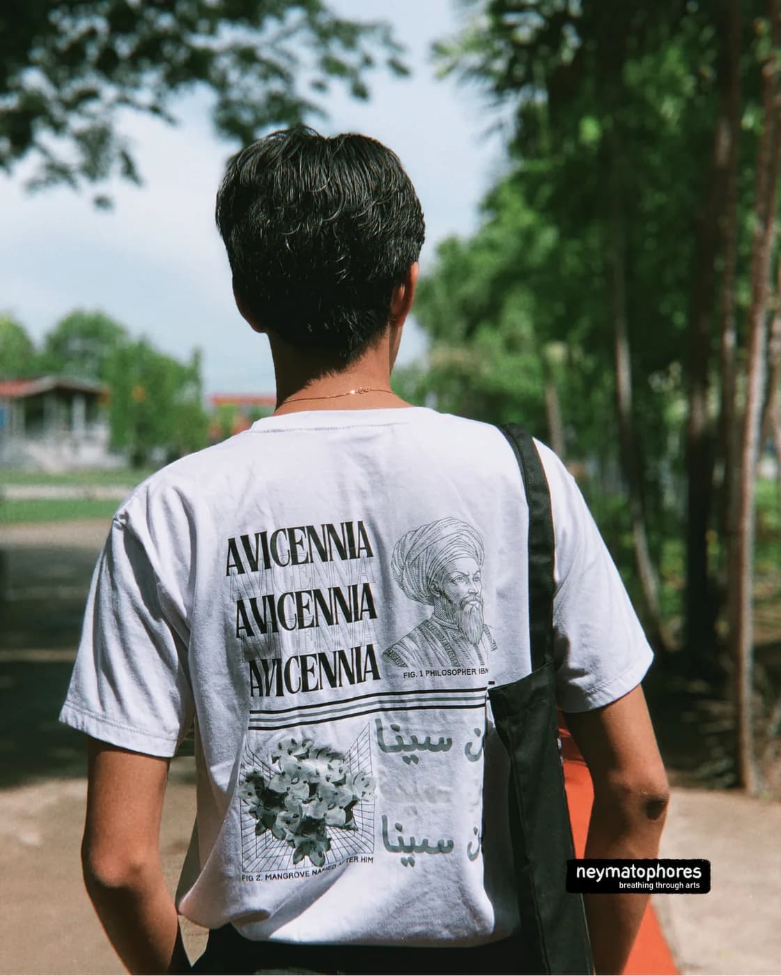 Avicennia · Blanco