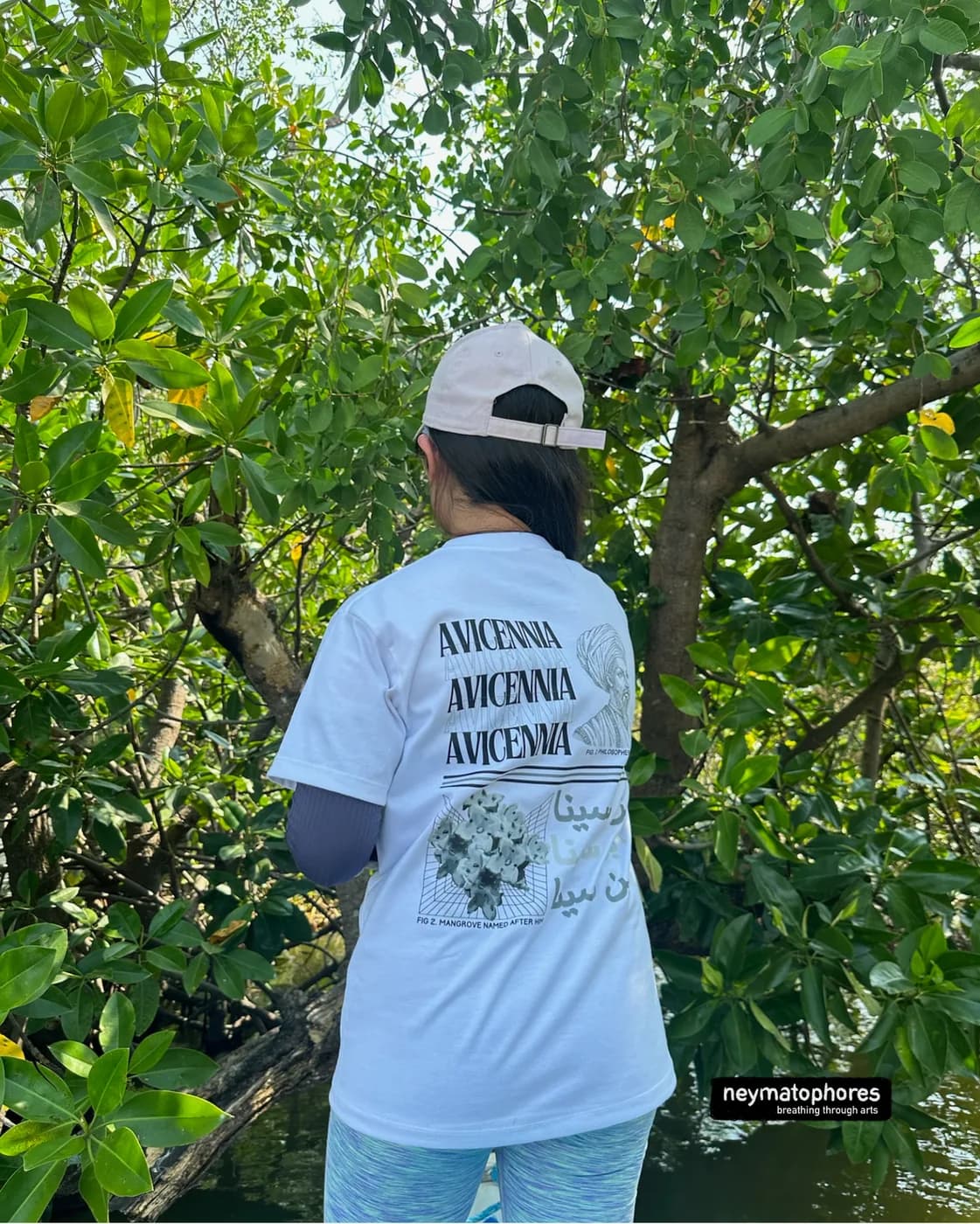 Avicennia · Blanco preview 8